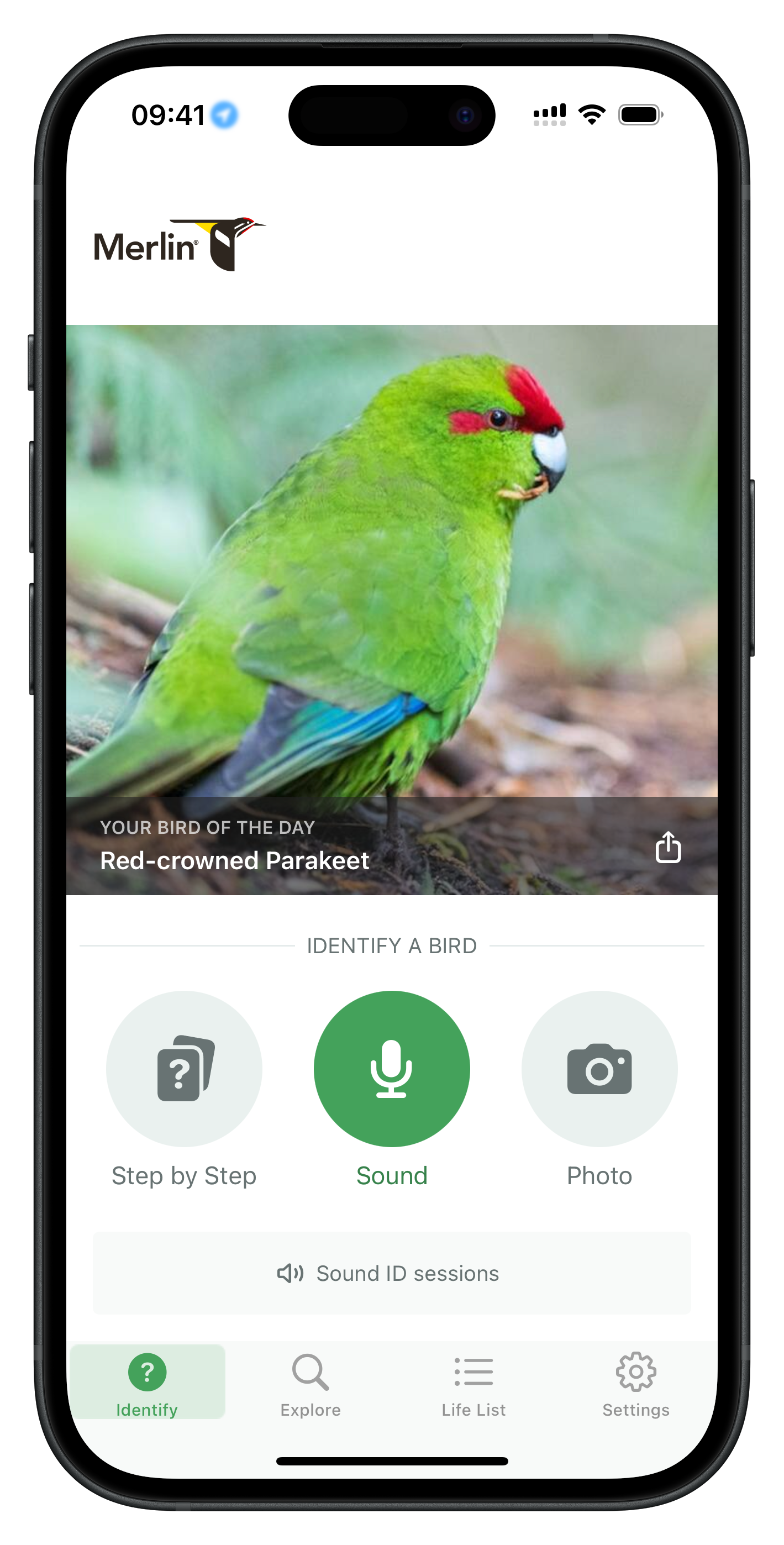 Merlin Bird ID screenshot